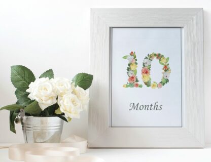 Baby Milestone Cards